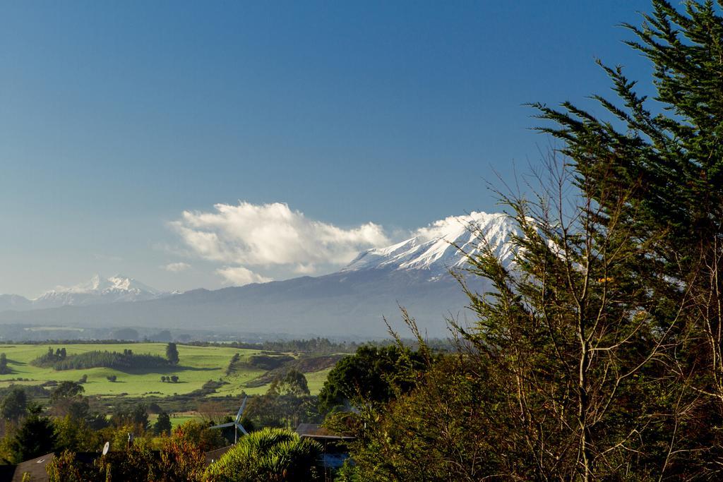 Las Magnolias Lofts Villa Puerto Varas Værelse billede